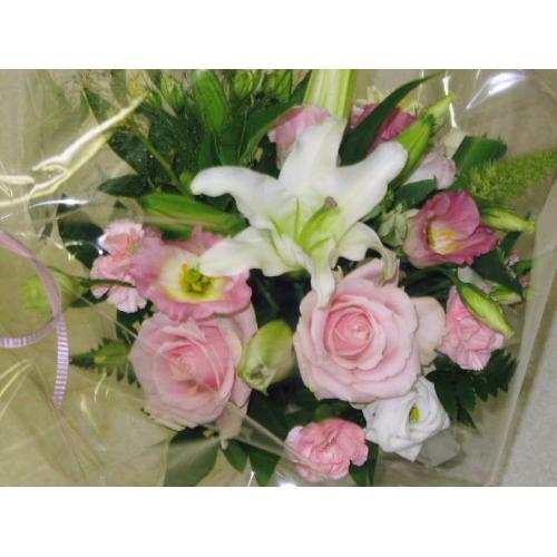 ���̉Ԃ����A�����W���s���N2