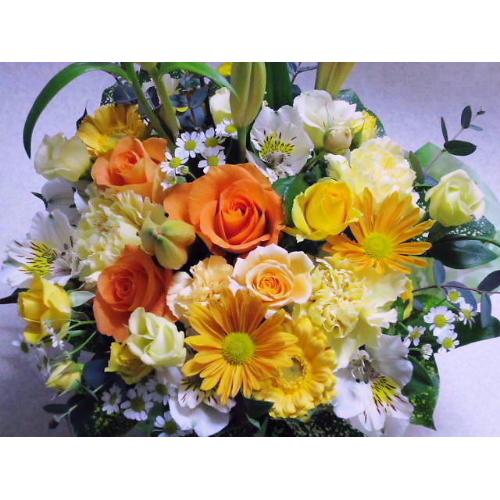 �����߃A�����W������!!