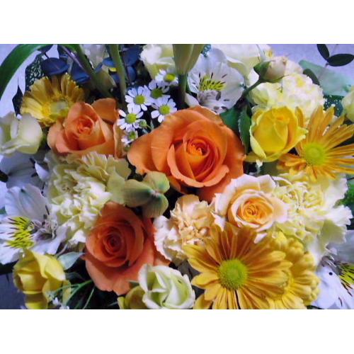 �����߃A�����W������!!2