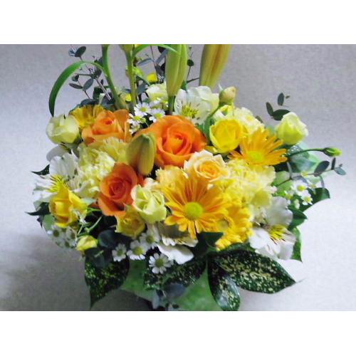 �����߃A�����W������!!4