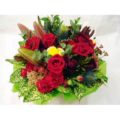 �����߃A�����W�@���b�h�T��4