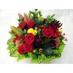 �����߃A�����W�@���b�h�T��