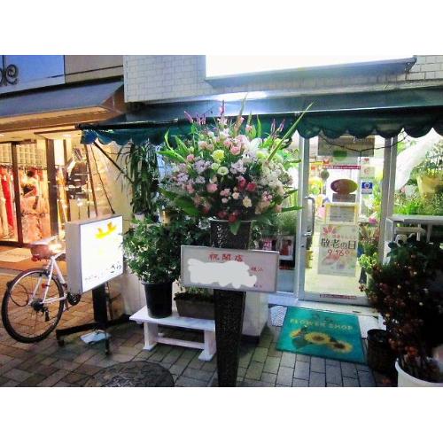 �X�^���h�ԁ@V2