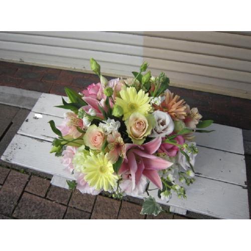 ��̓����A�����W�����΂ݕԂ�