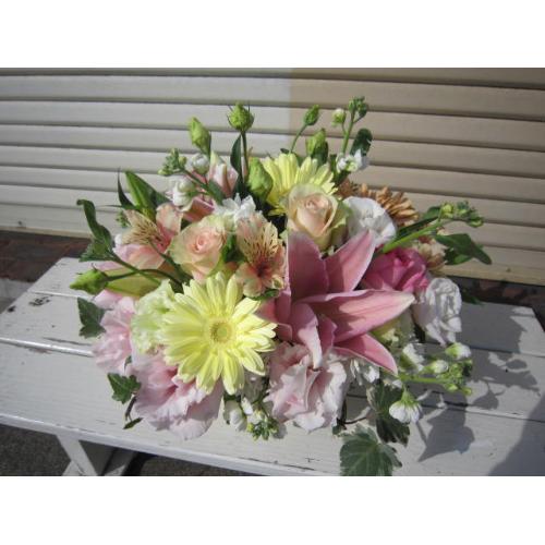 ��̓����A�����W�����΂ݕԂ�2