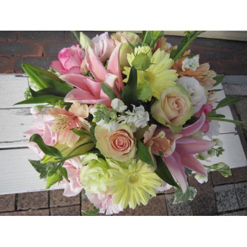 ��̓����A�����W�����΂ݕԂ�3