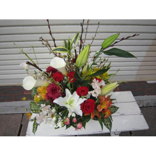 �ԃo�����C���̃A�����W�����b�h�T��2