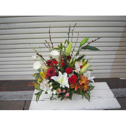 �ԃo�����C���̃A�����W�����b�h�T��3