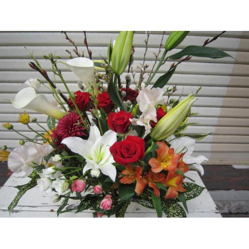 �ԃo�����C���̃A�����W�����b�h�T��4