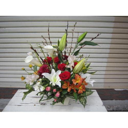 �ԃo�����C���̃A�����W�����b�h�T��5