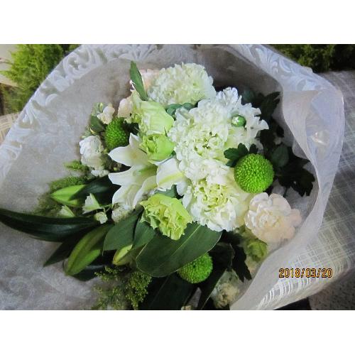 �������ԑ����c���3