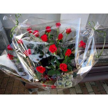 ＜フジテレビフラワーネット＞ 【大事な記念日に情熱の赤い花束を♪】人気の赤いバラを贈ろう！