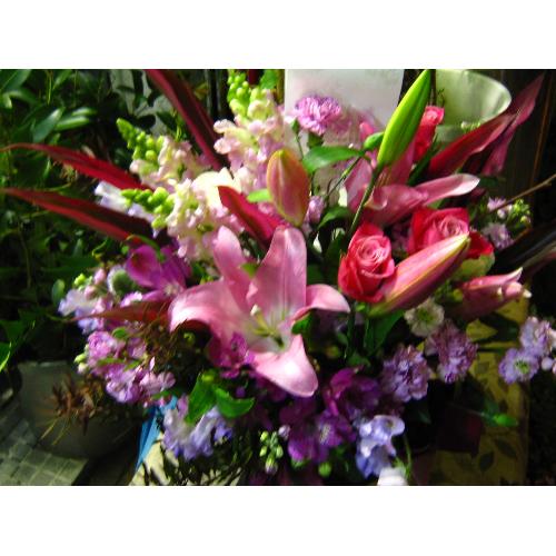 ���s���N�n�A�����W����u��