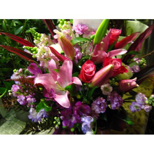 ���s���N�n�A�����W����u��2