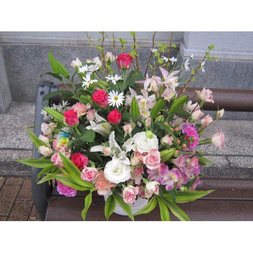 �앗���i�����Ԃ̃A�����W