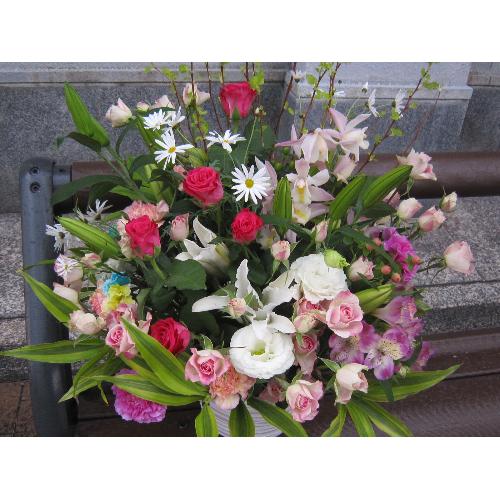 �앗���i�����Ԃ̃A�����W2