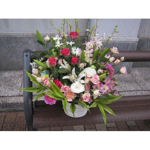 �앗���i�����Ԃ̃A�����W3