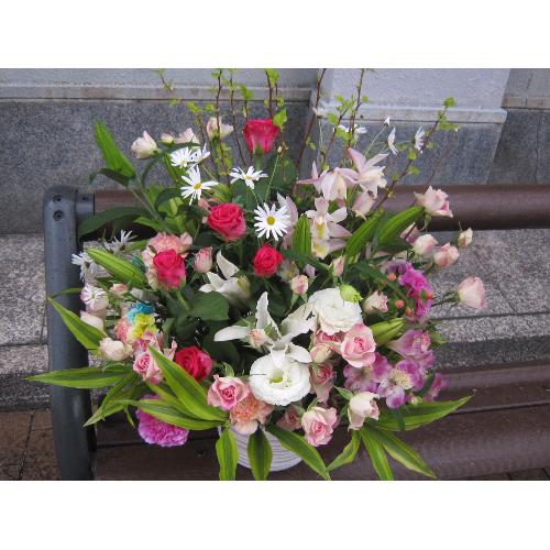 �앗���i�����Ԃ̃A�����W5