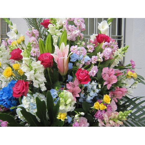 ��j�X�^���h�@��