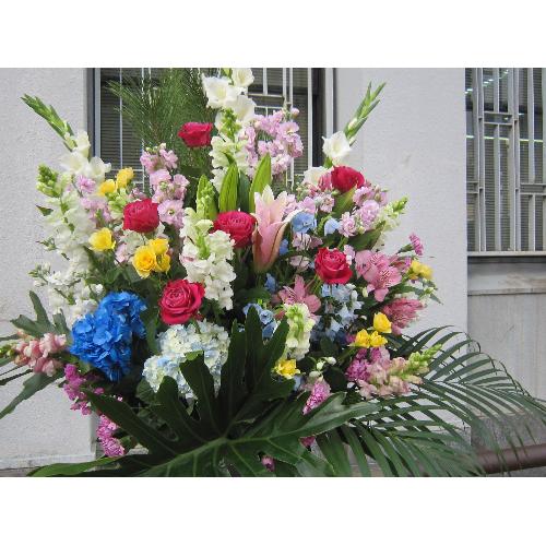 ��j�X�^���h�@��2