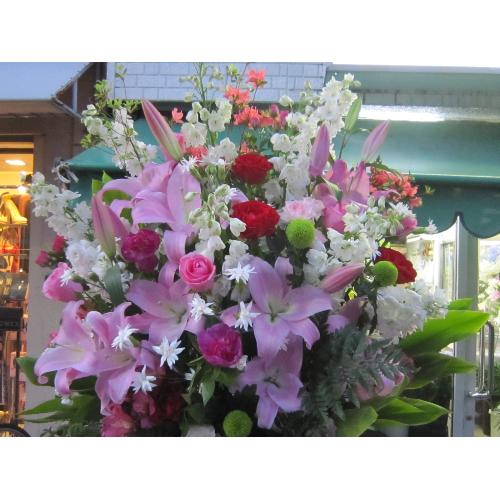 ���s���N�n�X�^���h���X�^�[��2