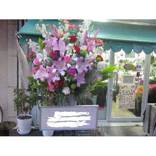 ���s���N�n�X�^���h���X�^�[��3