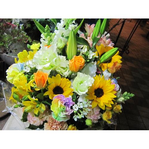 ��]�̉ԁ@�ĐF�A�����W