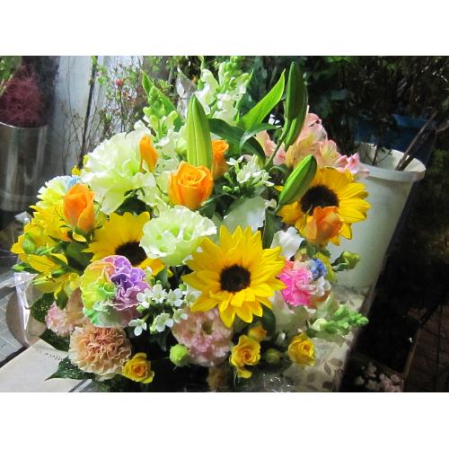 ��]�̉ԁ@�ĐF�A�����W3