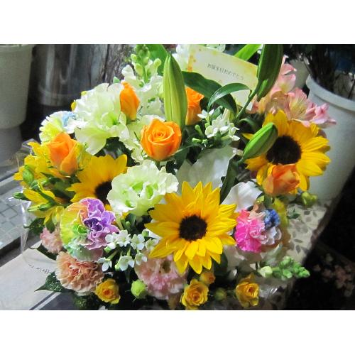 ��]�̉ԁ@�ĐF�A�����W4