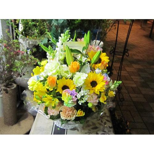 ��]�̉ԁ@�ĐF�A�����W5