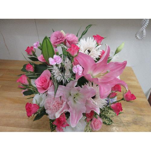 �������ȁ@�A�����W��̓������߁@���ʌ���̔�2