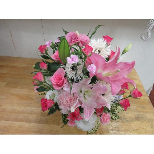 �������ȁ@�A�����W��̓������߁@���ʌ���̔�3