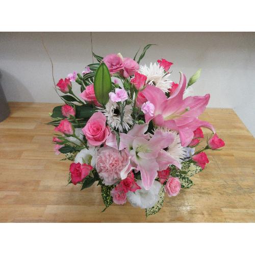 �������ȁ@�A�����W��̓������߁@���ʌ���̔�4