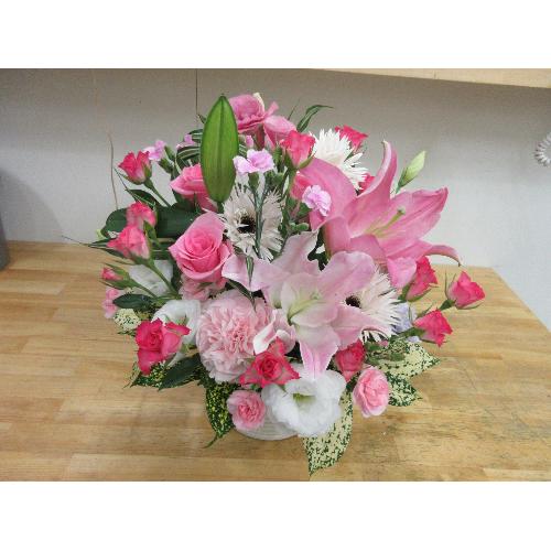 �������ȁ@�A�����W��̓������߁@���ʌ���̔�5