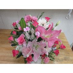 �������ȁ@�A�����W��̓������߁@���ʌ���̔�