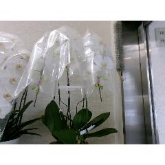 �Ӓ���3�{��