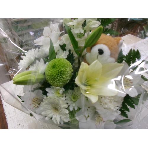 ����񃁃����A��2