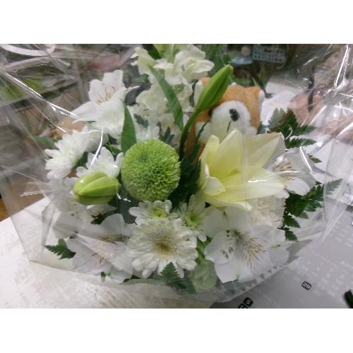 ����񃁃����A��22