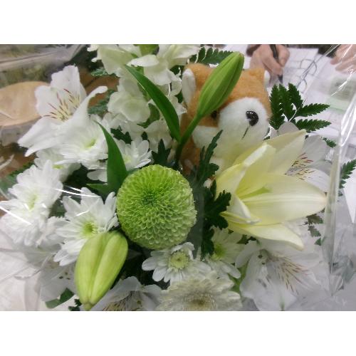 ����񃁃����A��23