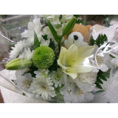 ����񃁃����A��24