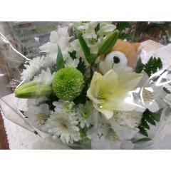 ����񃁃����A��2