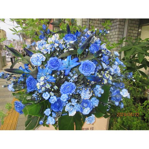 ���X�^���h�@���F�@�u���[�o�[�h