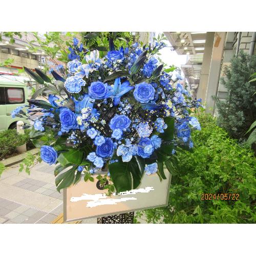 ���X�^���h�@���F�@�u���[�o�[�h2