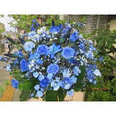 ���X�^���h�@���F�@�u���[�o�[�h