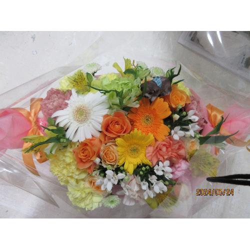 �I�����W�L�����f�C�A�����W