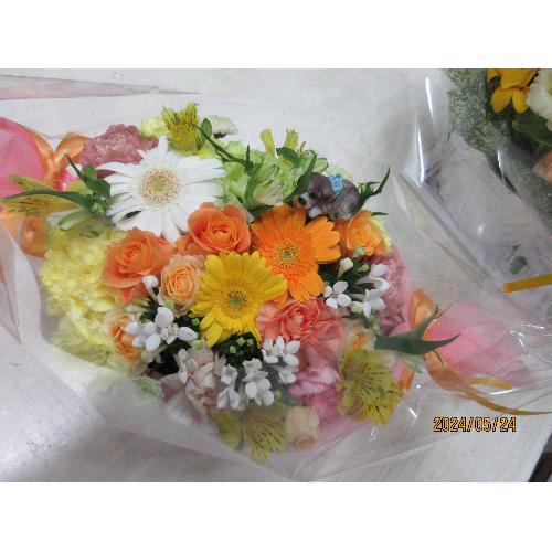 �I�����W�L�����f�C�A�����W2