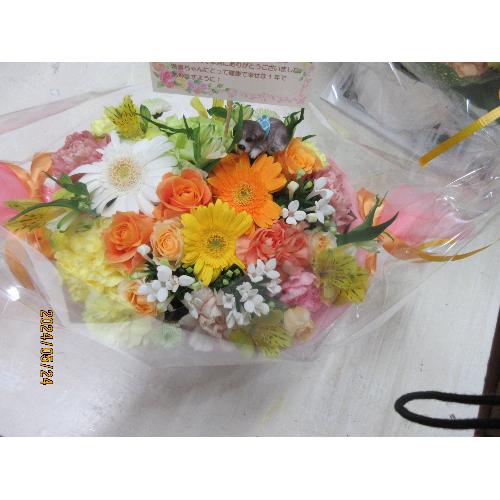 �I�����W�L�����f�C�A�����W3