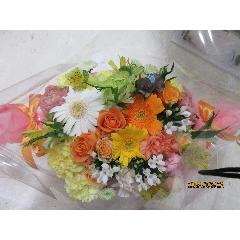 �I�����W�L�����f�C�A�����W