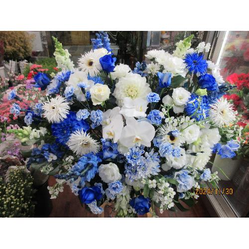 �u���[�n�[�g�A�����W