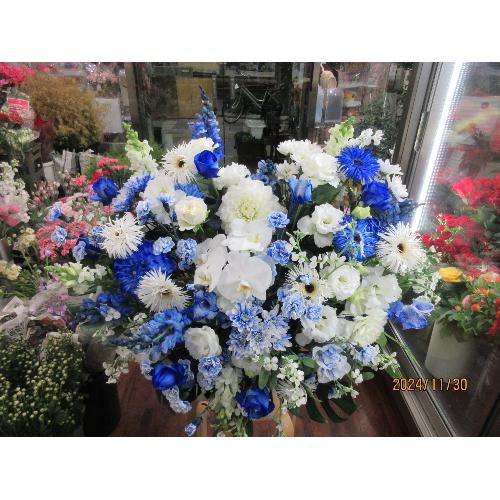 �u���[�n�[�g�A�����W2